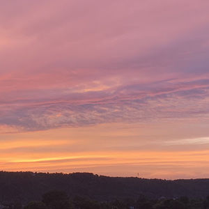 Meet your Posher, Lacey